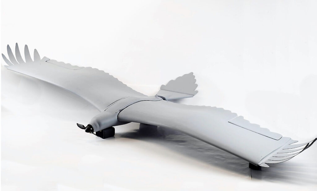 Drones Influenced by Birds and Insects